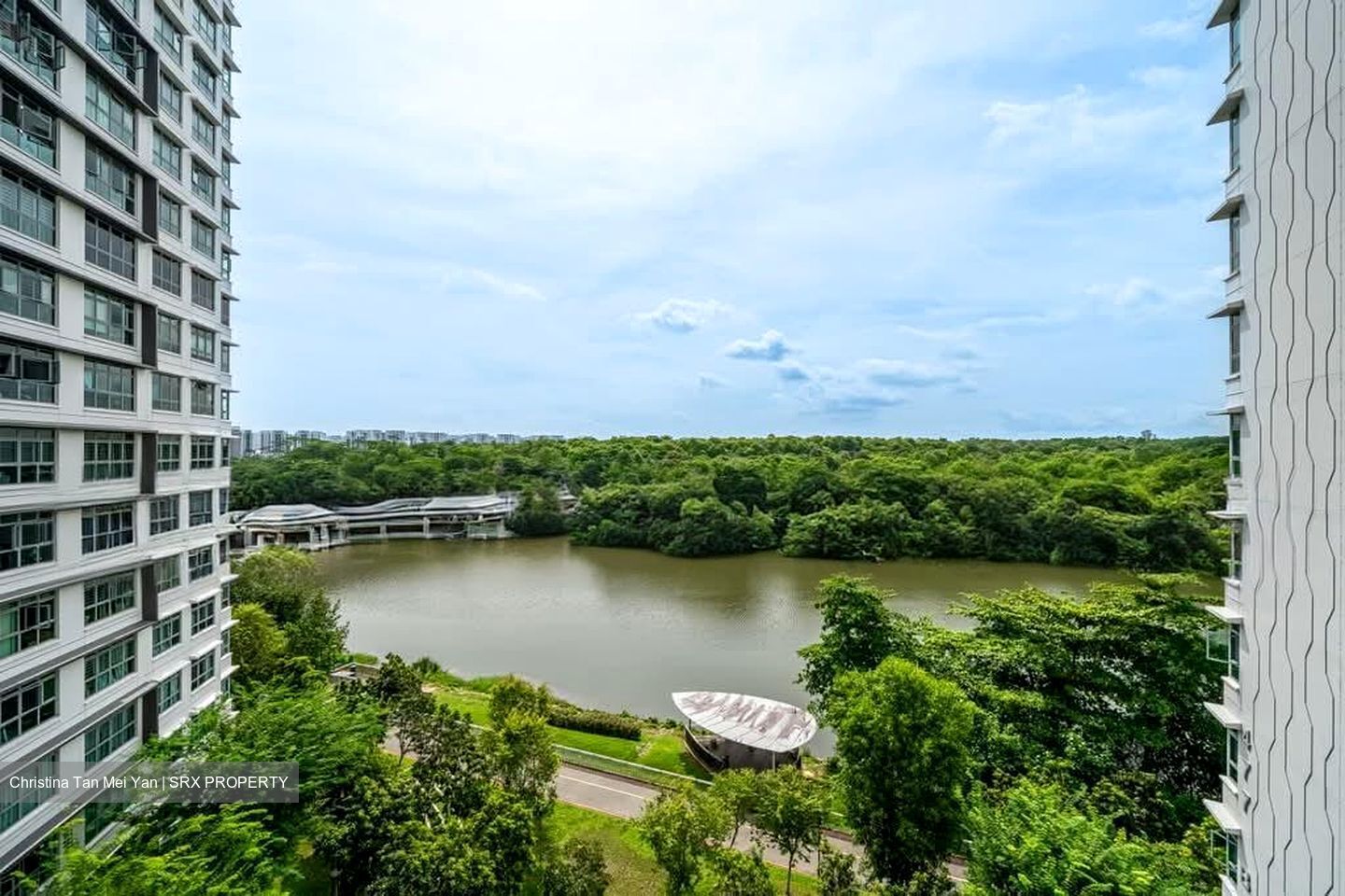 Blk 477B Hougang Capeview (Hougang), HDB 4 Rooms #570229471